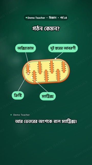 ক্লাসের পড়া